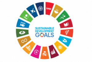 UN Sustainable Development Goals. Image: European Commission.