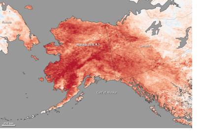 Temperature anomalies in Alaska in January 2014