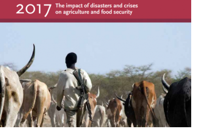 FAO Report. Image: FAO
