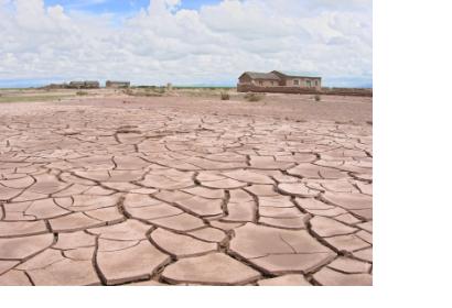 Drought in Bolivia turned pampa  into cracking ground 