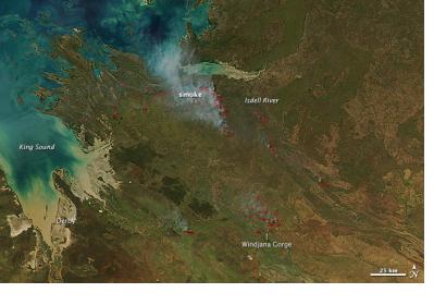 MODIS acquired this image of dozens of managed fires