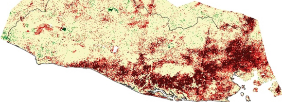 Map of the Standard Vegetation Index in El Salvador