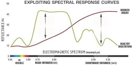 A chart of spectral response curves for healthy vegetation and burned areas