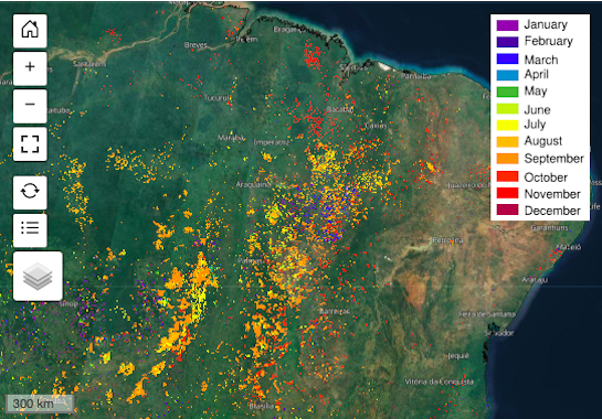 Screenshot of Brazil in GWIS showing the cumulative burned area for 2019. Image: GWIS.