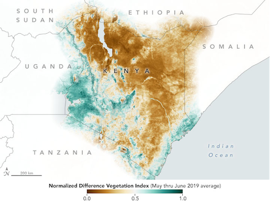 NDVI measurement of ground cover in Kenya. Image: Nasa Earth Observatory.