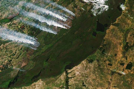 forest fire captured by the Landsat 9 satellite
