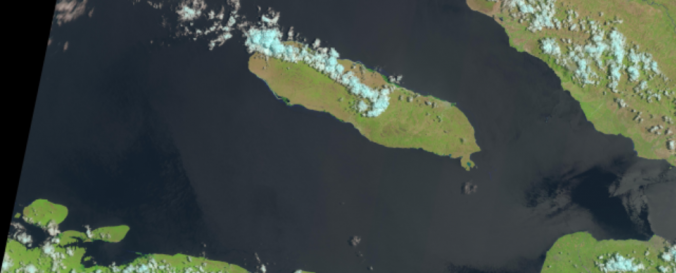 Screenshot of Landsat 8 image