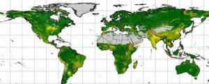 Screenshot of Global Soil Erosion (ESDAC)