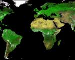First image of vegetation mapping satellite Proba 5
