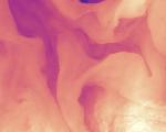 Surface temperatures of the Gulf Stream