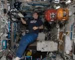 Astronaut Greg Chamitoff inside the US National Laboratory