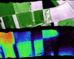 ESA potential satellite to map fluorescence