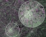 The first image captured by Copernicus satellite Sentinel-1A showing Brussels