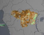 The studies analyzed the "greenness" of the Congo rainforest