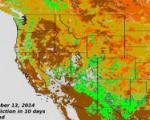 Foliage Phase Prediction Derived from VIIRS NDVI