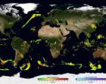 Global precipitation map (Image: NASA's Goddard Space Flight Center)