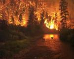2014 Regional Winner Valencian Community (Spain) focused on a system for investigating the cause and origin of forest fires (Image: John McColgan)