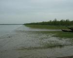 Snow-fed rivers and heavy rains are major causes of flooding in Bangladesh (Image: Shahnoor Habib Munmun)