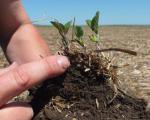 Spaced based data about the consistency of soil can help farmers make better decisions (Image: USDA-NRCS)
