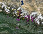 Landslides identified by the NASA-USGS-Interagency Volunteer Earthquake Response Team appearing in yellow and by the British Geological Survey-Durham University-Earthquakes Without Frontiers team in pink (Image: Google/ICIMOD) 