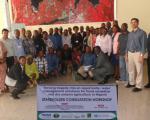 Approximately 30 experts participated in the workshop and training (Image: IWMI)