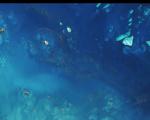Great Barrier Reef in Australia seen from space (Image: USGS/ESA)