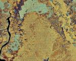 Satellite image of the Kalimantan region, which will not suffer drought in 2015 (Image: ESA)