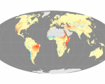 Fire seasons have become longer in areas marked with red and orange (Image: NASA)