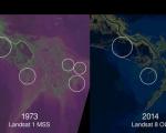 Parts of land lost to the sea along the last four decades (Image: Zachary Tessler/USGS and NASA)