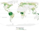 Credit: ESA. Above ground biomass 2020