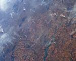 Fires in the Amazon as seen from Space. Image: ESA/NASA–L. Parmitano.