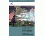 LAPAN booklet on forest fires