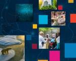 Cover of the Compendium of EO contributions to the SDG Targets and Indicators. Image: ESA.