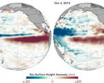 This year El Niño is the strongest since 15 years (Image: NASA). 