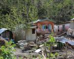 Damage from Hurricane Maria, which struck the island country of Dominica in 2017. Image: Tanya Holden/UK Department for International Development (DFID).