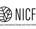 Official Logo of NICFI. Image: NICFI.