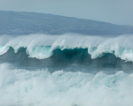 Credit: César Couto from Unsplash