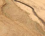 Drought in Sri Lanka in 2012.