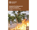 FAO Fire Management Publication