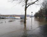 The rising waters of the Rhine river in Bonn. Image: UN-SPIDER.