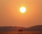 Photo by Tim Gray, The Sossusvlei area of Namibia, WMO 2023 calendar competition