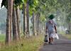 The study looks at eight countries in the Asia-Pacific