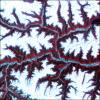 Snow-capped peaks and ridges of the eastern Himalaya Mountains