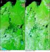 MODIS image caught by NASA's Terra satellite shows floods in Colombia