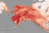 Temperature anomalies in Alaska in January 2014