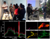 Internal Working Group of Remote Sensing and Spectroscopy of CIAF-IGAC (2013/201