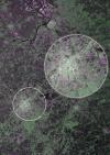 The first image captured by Copernicus satellite Sentinel-1A showing Brussels