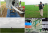 Estimation of the Normalized Differences Vegetation Index of a rice field
