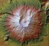 High-resolution lidar image of Mount St. Helens, Washington