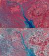Satellite image of Pearl River delta in China